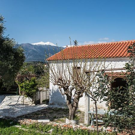 Traditional House Alikampos Exteriér fotografie